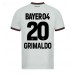 Maillot de foot Bayer Leverkusen Alejandro Grimaldo #20 Extérieur vêtements 2023-24 Manches Courtes